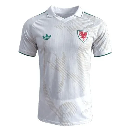 Camisa Alternativa do País de Gales Copa do Mundo de 2026 – Cinza